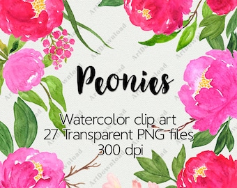 Digital clip art peonies - Watercolor peony, Hand painted floral clipart, Watercolor Flower Clipart, Wedding flowers, Floral Bouquet