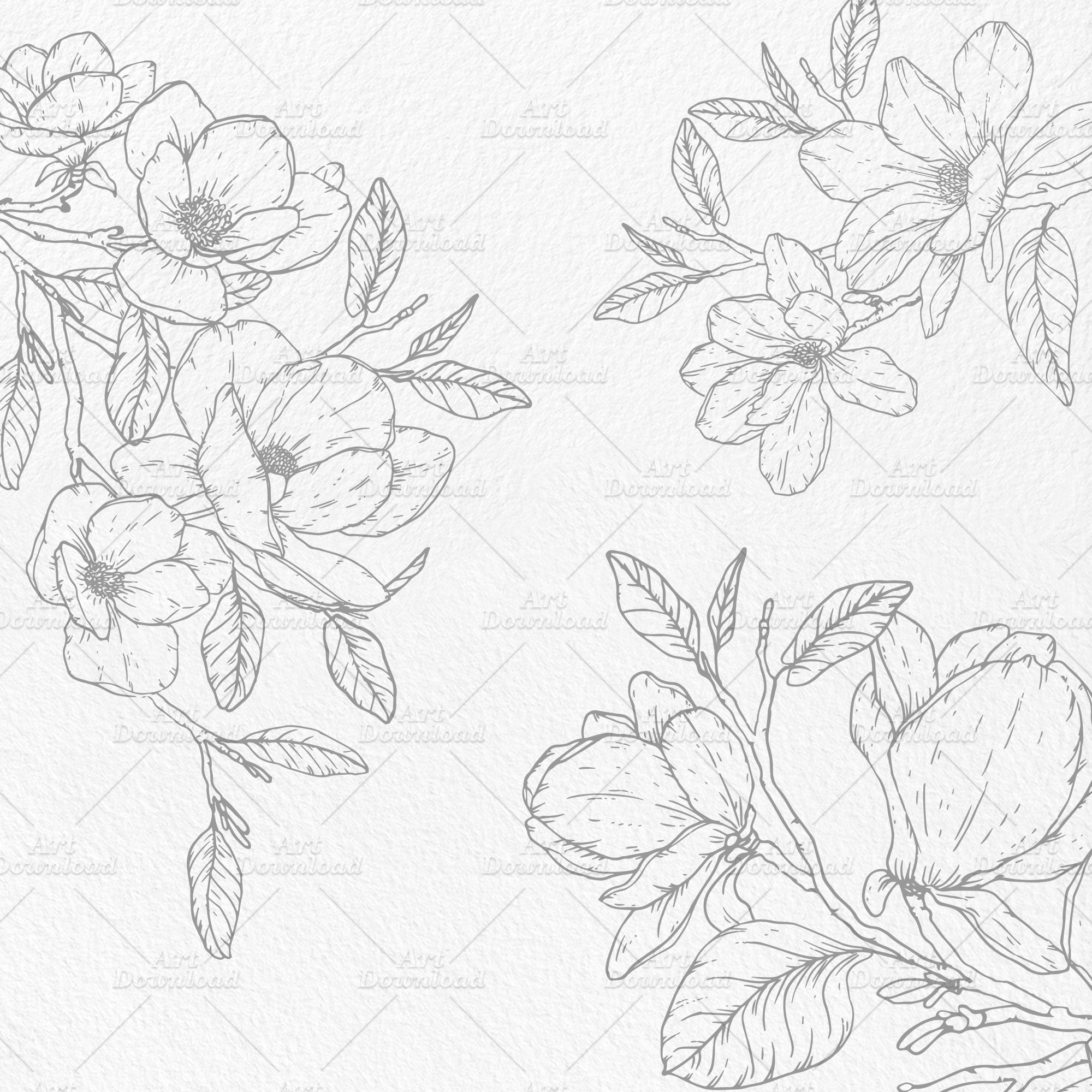 Magnolia Outline Graphic Flowers Line Art Flower Outline - Etsy