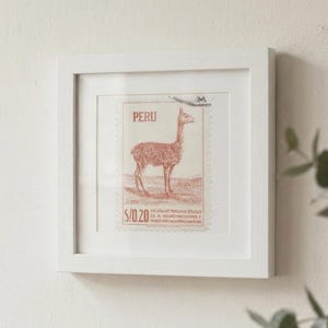 May include: A framed vintage postage stamp from Peru, featuring a reddish-brown llama-like animal. The stamp is set against a white background within a white square frame. The text "PERU" is visible on the stamp.