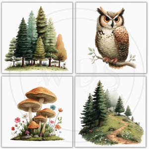 K&ouml;nnte beinhalten: Vier quadratische Aquarelldrucke mit Naturszenen. Ein Druck zeigt eine Ansammlung von B&auml;umen in Gr&uuml;n- und Braunt&ouml;nen. Ein anderer zeigt eine detaillierte Eule auf einem Ast. Der dritte zeigt Pilze und Blumen. Der letzte zeigt einen Pfad durch einen Wald.
