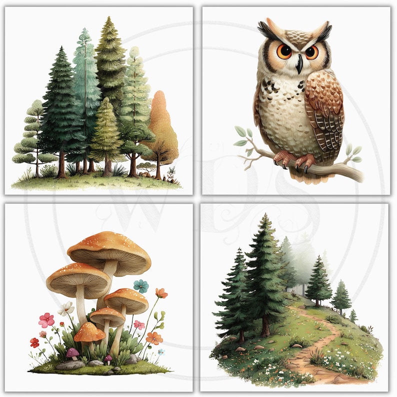 K&ouml;nnte beinhalten: Vier quadratische Aquarelldrucke mit Naturszenen. Ein Druck zeigt eine Ansammlung von B&auml;umen in Gr&uuml;n- und Braunt&ouml;nen. Ein anderer zeigt eine detaillierte Eule auf einem Ast. Der dritte zeigt Pilze und Blumen. Der letzte zeigt einen Pfad durch einen Wald.
