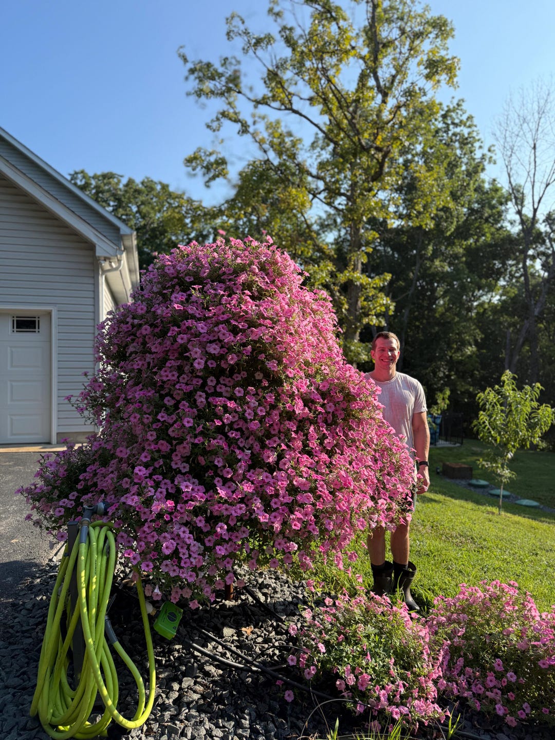 Petunia Tree Stand - Etsy