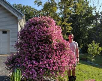 il_340x270.8255988195_678r.jpg