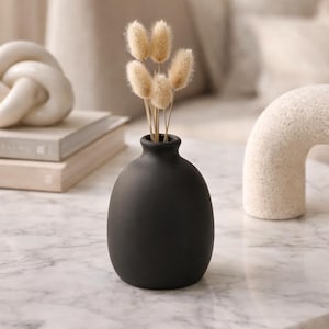 Jarrón negro redondeado: jarrón de cerámica mate con capullos para interiores neutros.