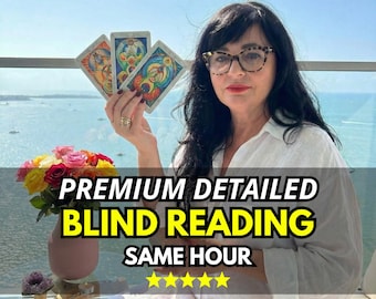 Leitura detalhada às cegas, sem ferramentas, em uma hora, sem perguntas | PDF