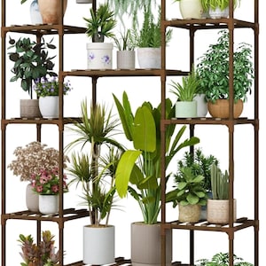May include: A brown wooden plant stand with multiple shelves, displaying a variety of potted plants. The plants include ferns, flowering plants, and succulents. The stand is rectangular and provides a vertical display for the plants.