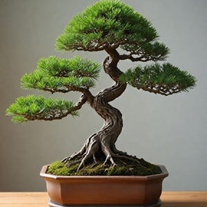 Puede incluir: Un bonsái meticulosamente elaborado con un follaje verde vibrante y un tronco retorcido y texturizado. El árbol está plantado en una maceta de cerámica marrón, octogonal, mostrando el arte del cultivo de árboles en miniatura. El bonsái está sobre una superficie de madera.