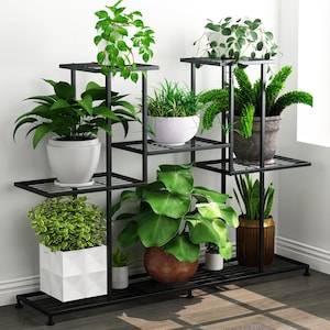 May include: A black metal plant stand with multiple tiers, holding various potted plants with green foliage. The stand has a rectangular base and a grid-like design on each shelf. The plants are in white, brown, and textured pots.