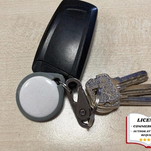 May include: A collection of keys, a key fob, and a car key. The keys are silver and worn. The key fob is white and gray. The car key is black. A metal clip connects the keys and fob. A license graphic is in the bottom right.