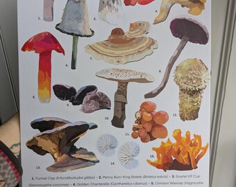 Mushrooms A3 Art Print