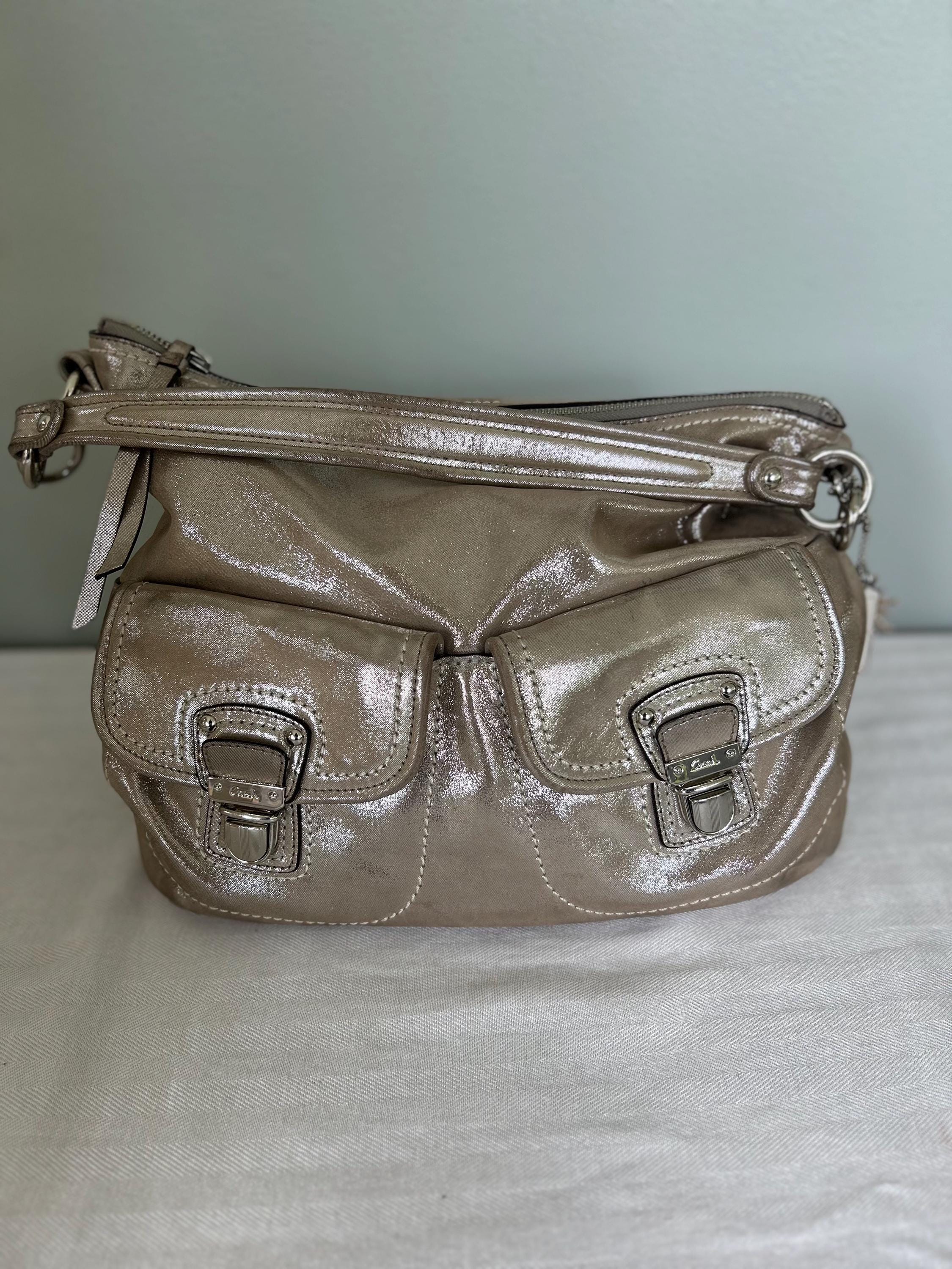 Metallic Coach Bag - Etsy