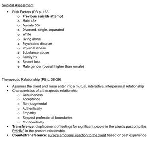 2026 LMR PMHNP Exam Study Guide | Psychiatric Nursing Review (Instant Download) image 3