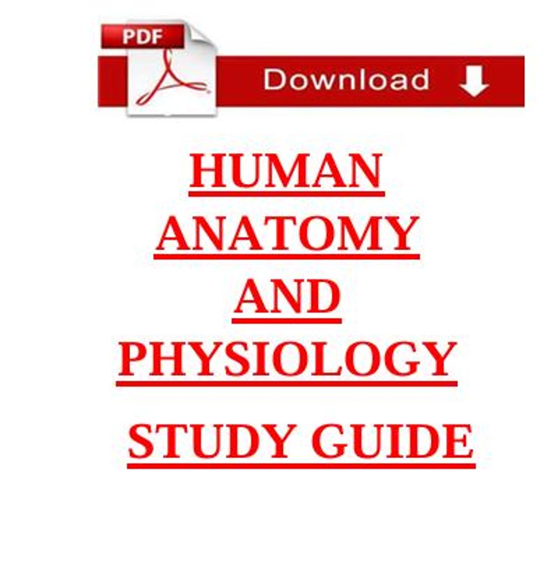 Human Anatomy and Physiology Review Notes |study Guide PDF - Etsy