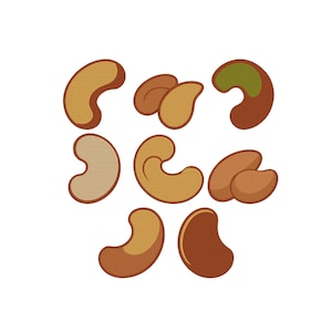 Puede incluir: Ilustración de varias nueces de anacardo en varias posiciones. Las nueces son en tonos marrones y beige, con un aspecto texturizado. Algunas tienen un interior verde, sobre un fondo blanco.