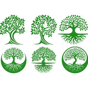 Bordado del árbol de la vida, bordado de árbol, bordado de árbol verde, diseño de bordado a máquina, bordado de paquete de árbol, patrón de árbol, 6 tamaños