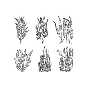 Seaweed Embroidery Design, Ocean Reeds Embroidery Files, Corals Line Art Design, Machine Embroidery, Underwater Embroidery Design, 6 Sizes
