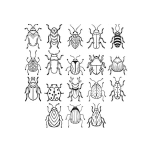 Puede incluir: Una colección de diecinueve ilustraciones distintas en blanco y negro de varios escarabajos e insectos dispuestos en una cuadrícula. Cada insecto presenta patrones de caparazón únicos, incluyendo puntos, rayas y marcas texturizadas.