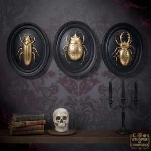 Resin Gold Insect Wall Art  -  Framed Beetle Series.
