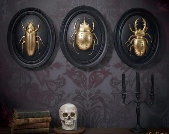 Resin Gold Insect Wall Art  -  Framed Beetle Series.