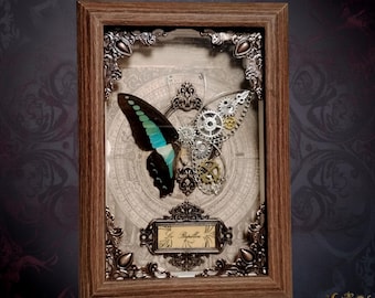 Gerahmter Steampunk Schmetterling - halb natürlich, halb mechanisch - Kabinett der Raritäten Wanddekor.