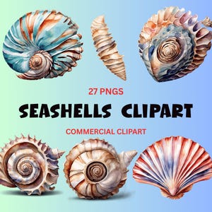 Peut inclure: Clipart d'aquarelle représentant six coquillages de différentes formes et couleurs, dont le bleu, l'orange et le blanc. Le texte "SEASHELLS CLIPART" est affiché en noir, avec "27 PNGS" et "COMMERCIAL CLIPART" en rouge.