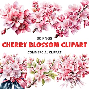 Puede incluir: Clipart de flores de cerezo en acuarela en tonos rosa y blanco. La imagen incluye múltiples arreglos de ramas y ramos de flores de cerezo. El texto dice "30 PNGS" y "CHERRY BLOSSOM CLIPART COMMERCIAL CLIPART."