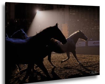 Caballos de rodeo corriendo en la arena, foto de un caballo de rodeo de Texas, arte del Muro de las Lamentaciones, decoración de vaqueros, impresión de la arena del corral, foto de la silueta de un caballo