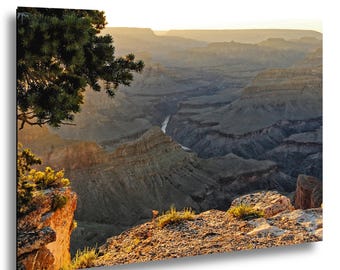 May include: A landscape print of the Grand Canyon at sunset. The image captures the vast canyon with layers of rock formations in shades of brown and gray. A river winds through the canyon. A tree and some shrubbery are in the foreground.