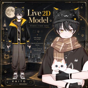 Färdig Live2D Vtuber-modell: Klar att använda, kompatibel med VTubeStudio