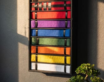 New! 10-Belt Martial Arts Belt Display - Open Face - Karate, Taekwondo