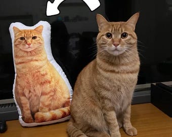 Your Own Custom Personalized Pet Promise Pillow - Customized Dog / Cat Plushie Pillow - Memorial Plush