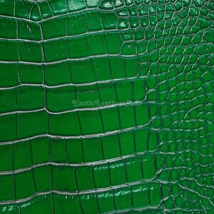 Könnte beinhalten: Nahaufnahme eines glänzenden, smaragdgrünen Leders mit Krokodilhautstruktur. Das Muster zeigt rechteckige und ovale Formen, die durch tiefe Rillen getrennt sind und einen realistischen Reptilienhaut-Effekt erzeugen. Der Text "Exotic Leather Skin" ist unten sichtbar.