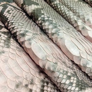 Puede incluir: Primer plano de varios trozos de piel de serpiente. La piel de serpiente tiene un patrón de escamas grises y blancas. Las escamas están dispuestas en un patrón repetitivo. La piel de serpiente tiene una textura suave y un ligero brillo.