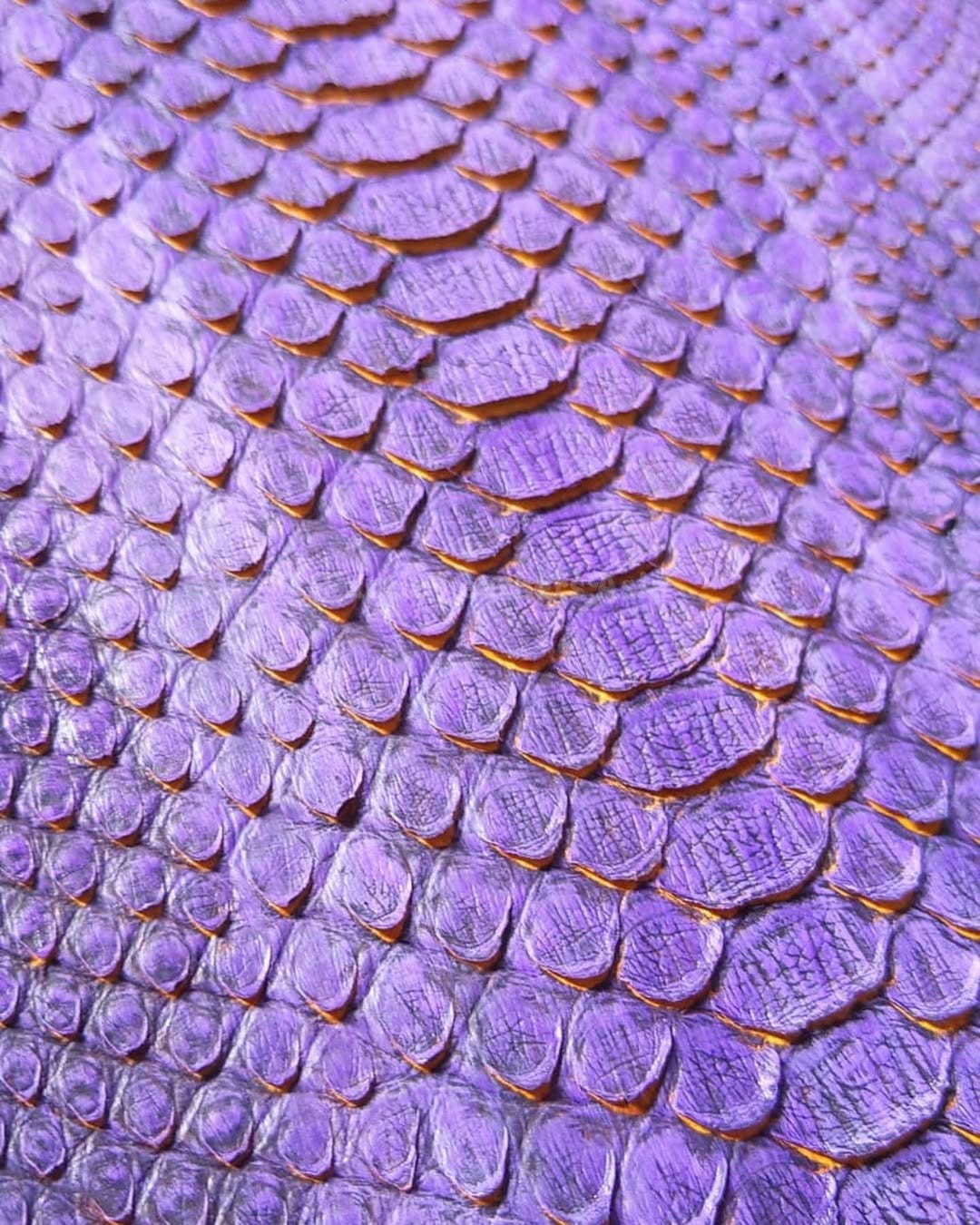 Genuine Burmesed Python Leather Skin | Turquoise Ocean Bleached Belly ...