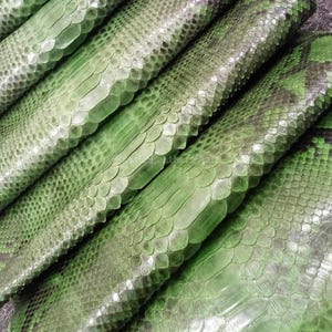 Op de afbeelding: Close-up van verschillende stukken groene slangenleer. De schubben zijn zichtbaar en hebben een textuur. De kleur varieert van licht- tot donkergroen, met grijze tinten.