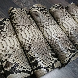 Può includere: Primo piano di diversi rotoli di pelle di serpente. Le pelli sono principalmente nere, bianche e grigie, con una consistenza squamosa. I rotoli sono disposti fianco a fianco, mostrando i modelli e le trame naturali della pelle di rettile.