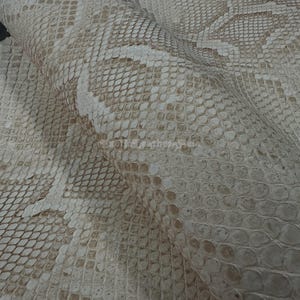 May include: Close-up of a sheet of beige snake skin with a scale pattern. The skin has a natural, textured appearance with variations in colour, ranging from light cream to tan. The scales are small and tightly packed, creating a detailed surface.