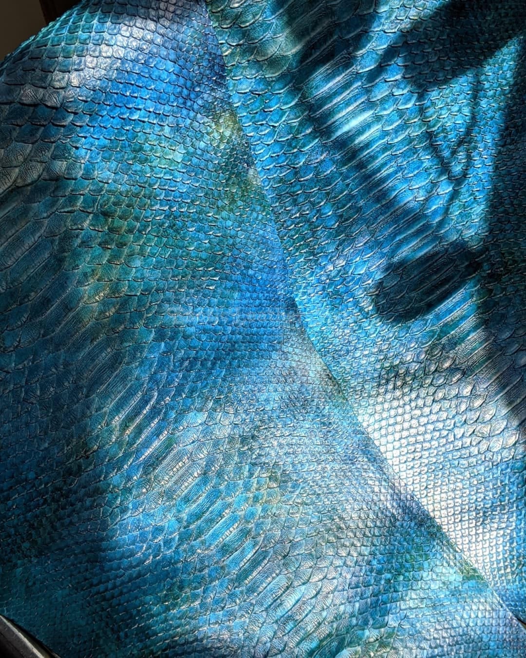 Genuine Borneo Python Leather Skin | Ocean Teal Unbleached Belly Cut ...