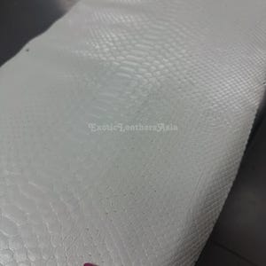Może przedstawiać: Zbliżenie białej skóry węża. Skóra ma teksturowany wzór przypominający łuski. Tekst "Exotic Leathers Asia" jest widoczny w prawym dolnym rogu. Skóra jest złożona, odsłaniając spód.