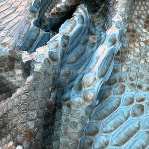 May include: Close-up of a textured, blue and brown snakeskin pattern. The scales have a rounded, bumpy texture with a gradient of colours, ranging from light blue to dark brown. The material appears to be flexible and folded.