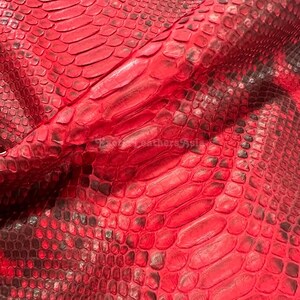 Pelle di pitone reticolato autentica / Pelle di ventre non sbiancata rosso scarlatto brillante / Conceria indonesiana