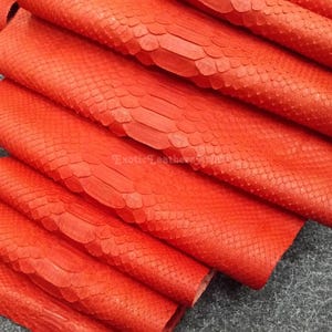Puede incluir: Primer plano de varias hojas de cuero exótico rojo vibrante. El cuero tiene un patrón texturizado y escamoso, y los pliegues revelan el grosor del material. El texto "Exotic Leathers" es visible en la imagen.
