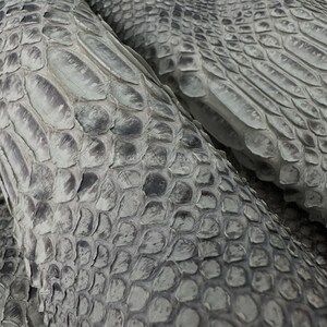 Può includere: Primo piano di diversi pezzi di pelle di serpente grigia. Le squame sono visibili e hanno un aspetto strutturato. La pelle è piegata e stratificata, creando un senso di profondità e dimensione. Il colore è un mix di grigi chiari e scuri.