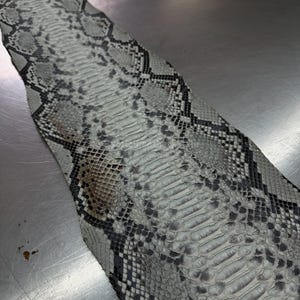 Può includere: Un pezzo di pelle di serpente con un motivo grigio e nero. Le squame sono visibili e strutturate. La pelle è appoggiata su una superficie metallica.