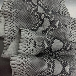 Peut inclure: Gros plan sur du cuir de peau de serpent gris et blanc. Le cuir présente un motif d'écailles avec des variations de couleur, allant du gris clair au gris foncé et noir. La texture semble rugueuse et naturelle.