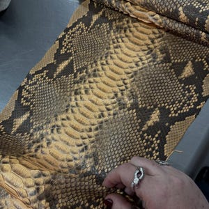 Può includere: Primo piano di un pezzo di pelle di serpente piegata. La pelle presenta un motivo di segni marrone scuro e neri su uno sfondo beige. La consistenza delle squame è visibile. La pelle è probabilmente per la lavorazione.