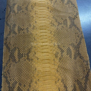 Äkta nätfärgat pytonläder | Senapsgult matt oblekt magskinn | Indonesiskt garveri