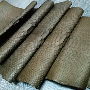 May include: A collection of olive-green snake skin leather pieces. The leather has a textured, scaled pattern and is arranged in overlapping layers. The color is a muted, earthy tone, with variations in shading across the surface. The image showcases the natural texture and pattern of the material.