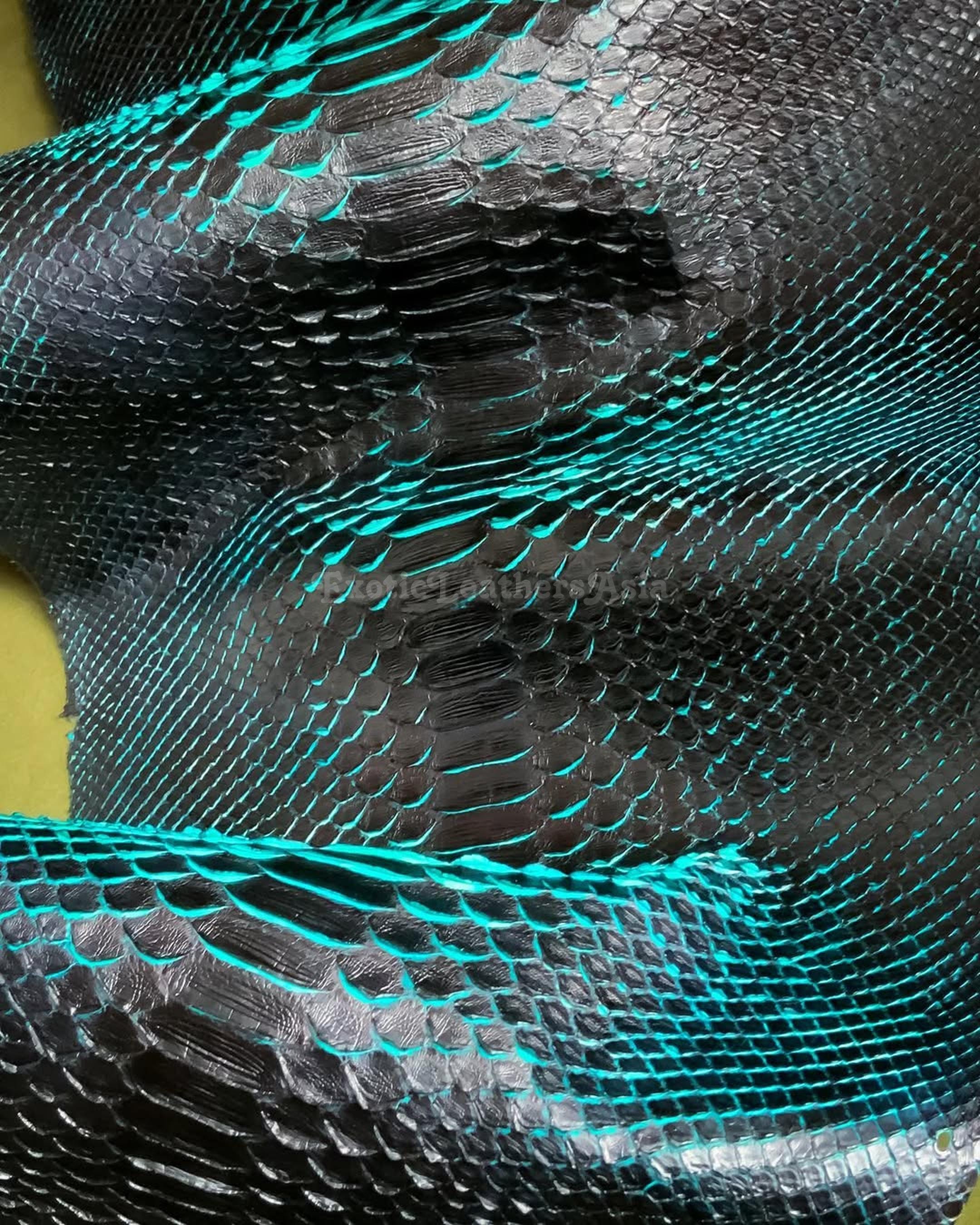 Genuine Borneo Python Leather Skin | Cyan Underglow Unbleached Belly ...