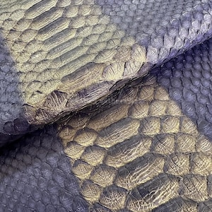 Può includere: Primo piano di pelle di serpente strutturata e iridescente nei toni del blu, grigio e oro. Le squame si sovrappongono e creano un motivo. La luce cattura la superficie, evidenziando la trama e le variazioni di colore.